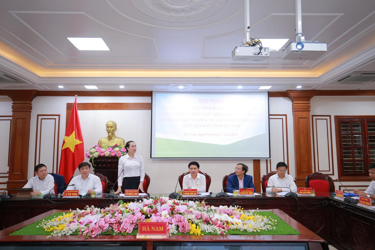 Bà Đỗ Nguyệt Ánh, Thành viên HĐTV, Tổng giám đốc EVNNPC phát biểu.
