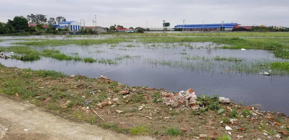 Hình ảnh thực tế của Dự án mọc đầy cỏ dại