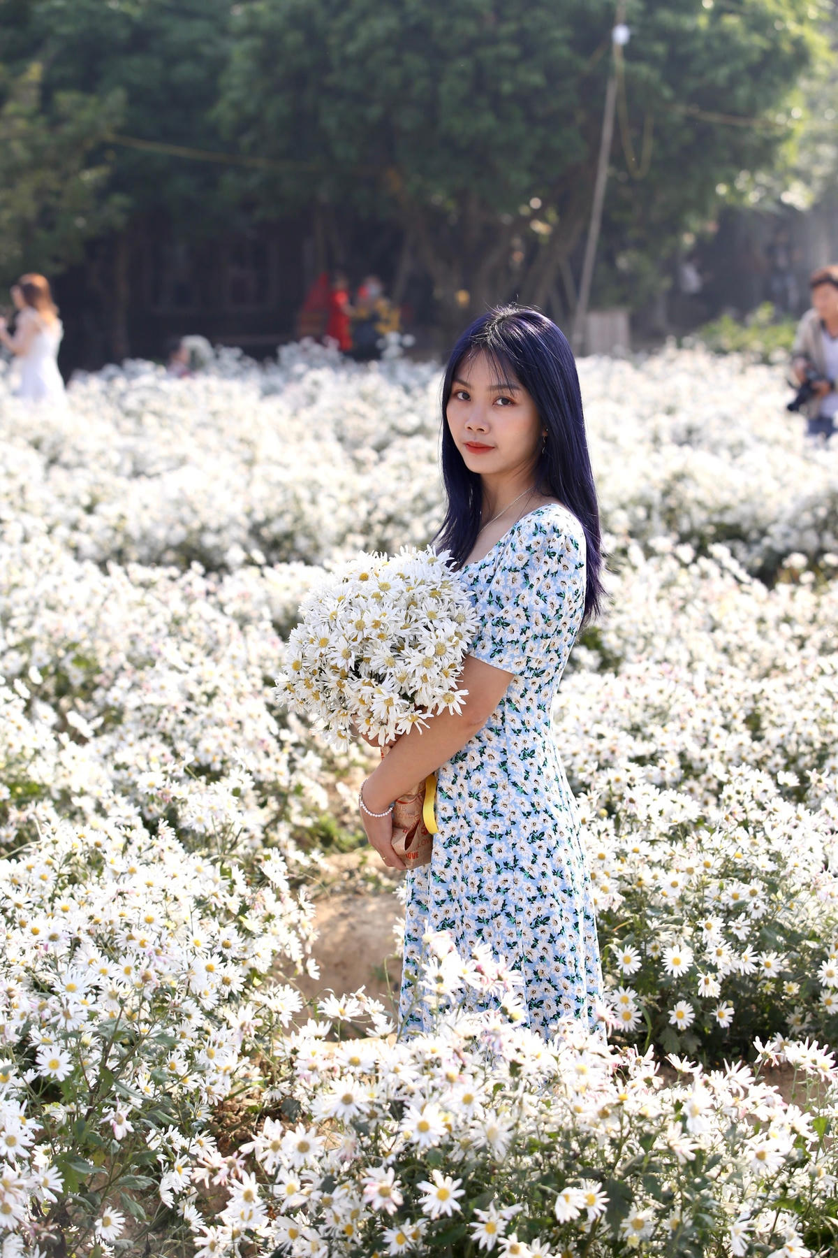 Bạn Vũ Bích Linh chọn cúc họa mi để lưu giữ những kỷ niệm tuổi trẻ.