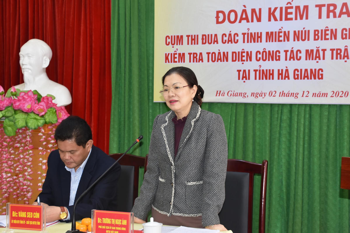 Phó Chủ tịch Trương Thị Ngọc Ánh phát biểu tại buổi làm việc.