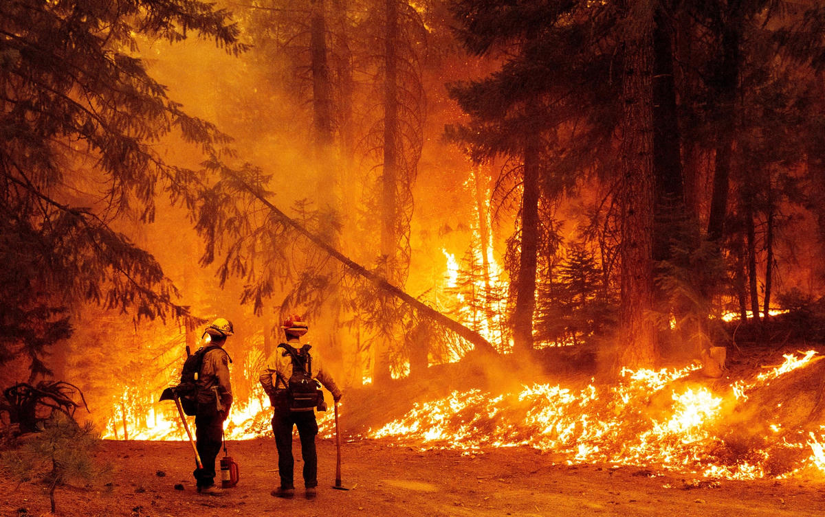 Trận cháy rừng Dixie kinh hoàng ở bang California, Mỹ, được xem là vụ cháy rừng tồi tệ thứ hai trong lịch sử bang này. Ảnh: NBC News.