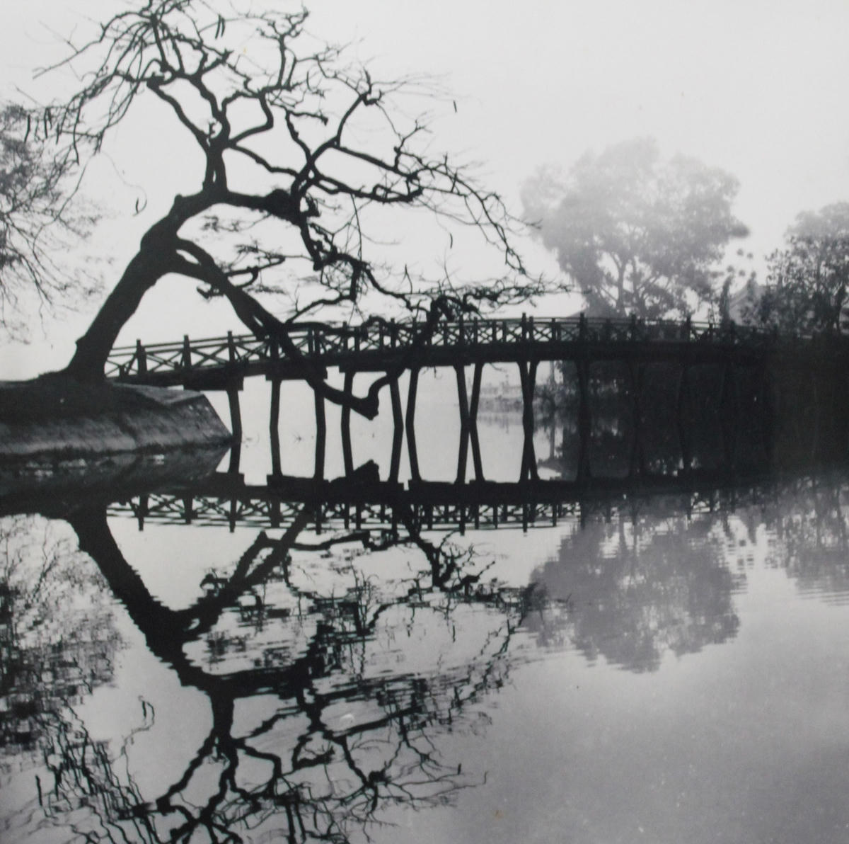 Người kể chuyện bằng ảnh