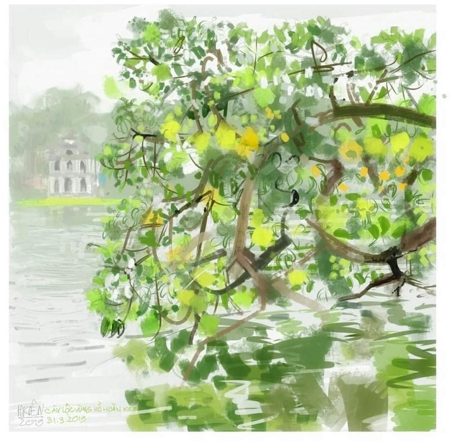 Cây lộc vừng ven Hồ Hoàn Kiếm - ký hoạ của Hải Kiên