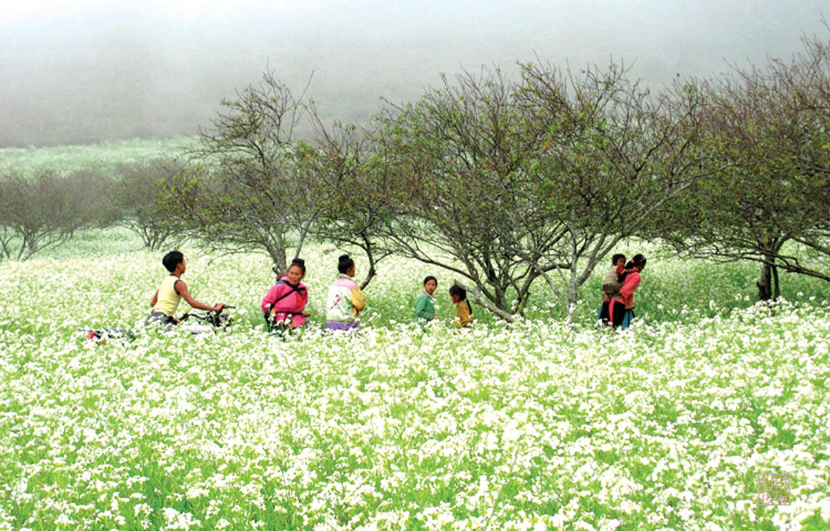 Cuộc sống bình dị.