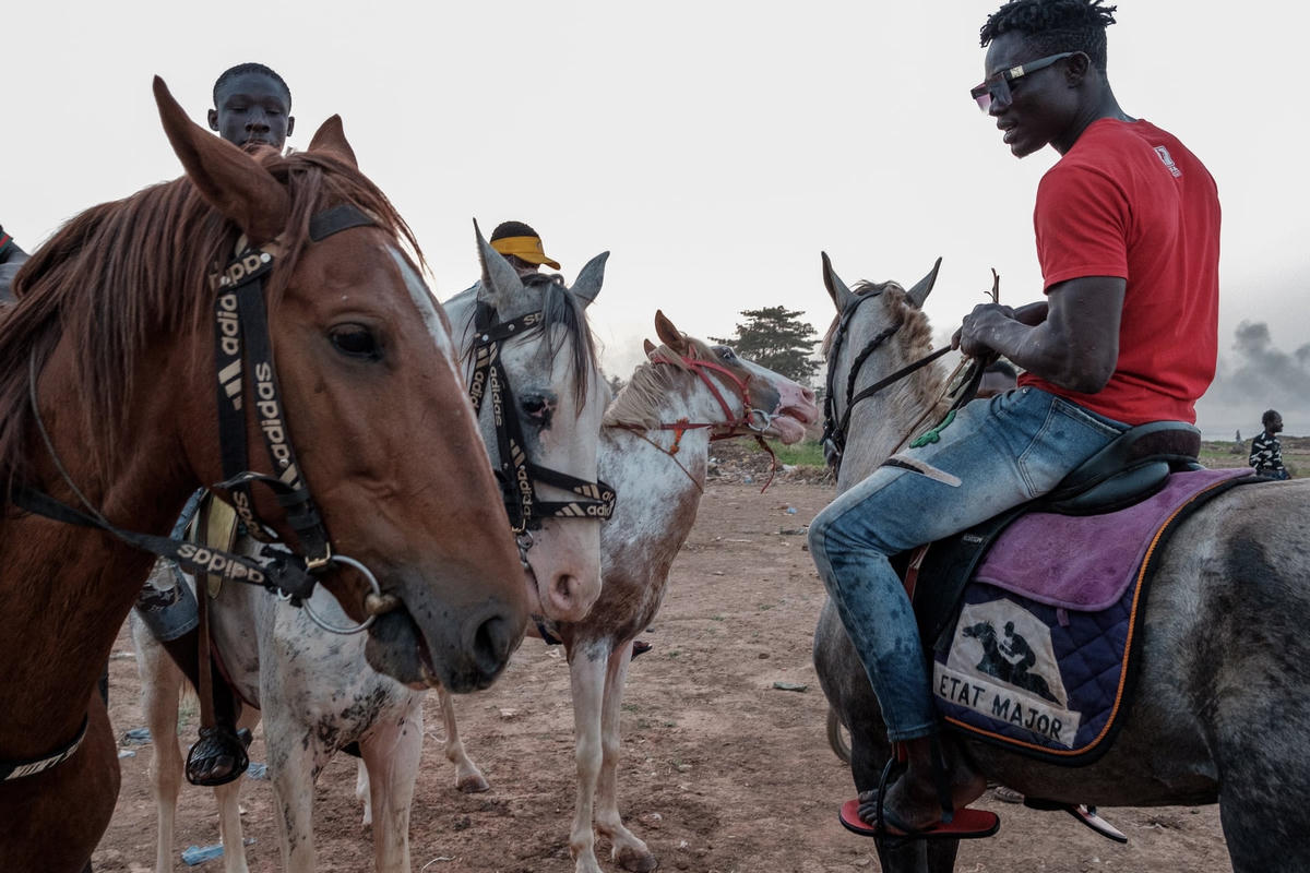 Joel và những người bạn của mình trên đường trở về sau một buổi tối đi dạo với những con ngựa sau khi tắm mát trong hồ chứa gần đó. Ảnh: Guy Peterson / The Guardian.