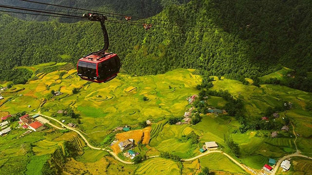 Fansipan mùa lúa chín đẹp ngất ngây