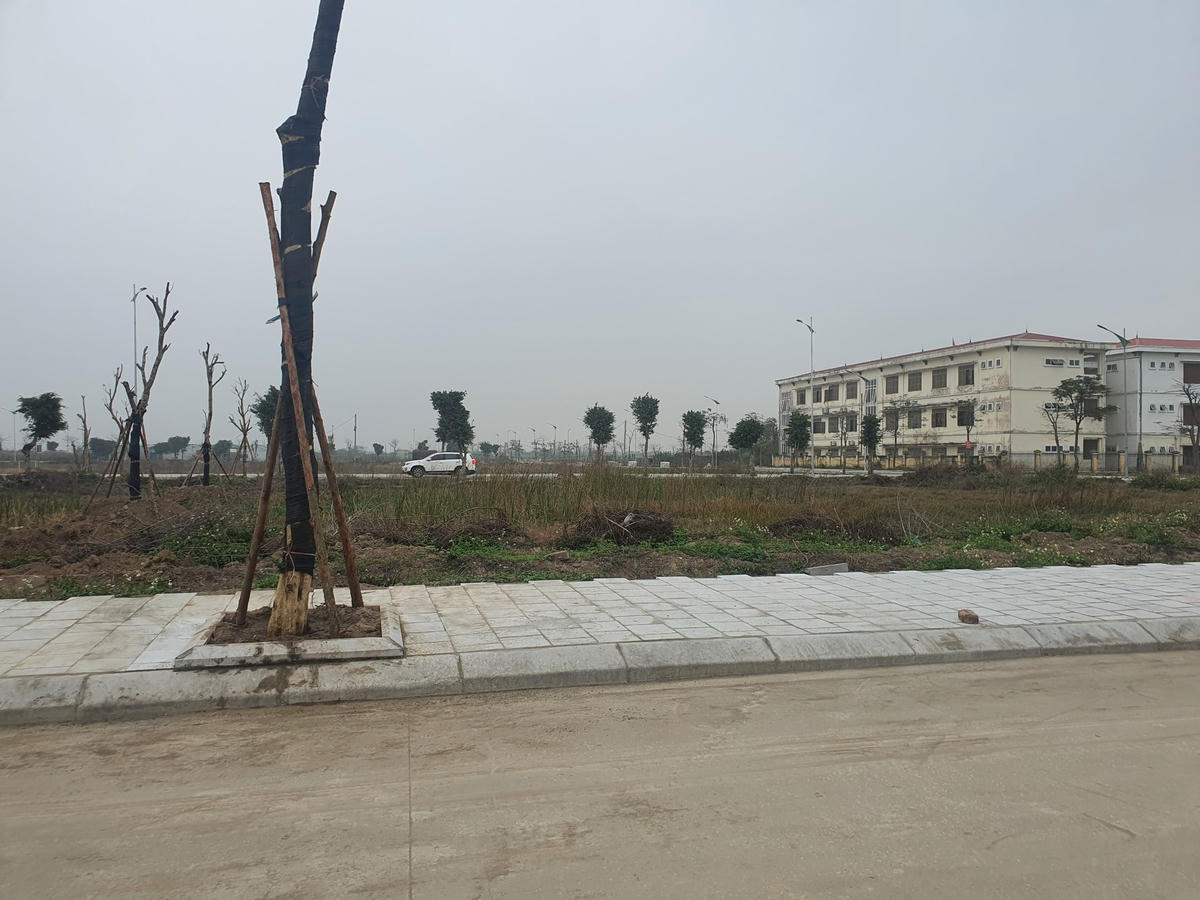 Khu đất 11,8 ha được chủ đầu tư trả lại TP Hải Phòng.