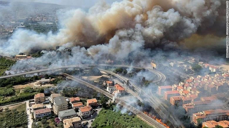 Hình ảnh trên cao tại khu bảo tồn Pineta Dannunziana ở Pescara, Ý  (Ảnh: CNN).