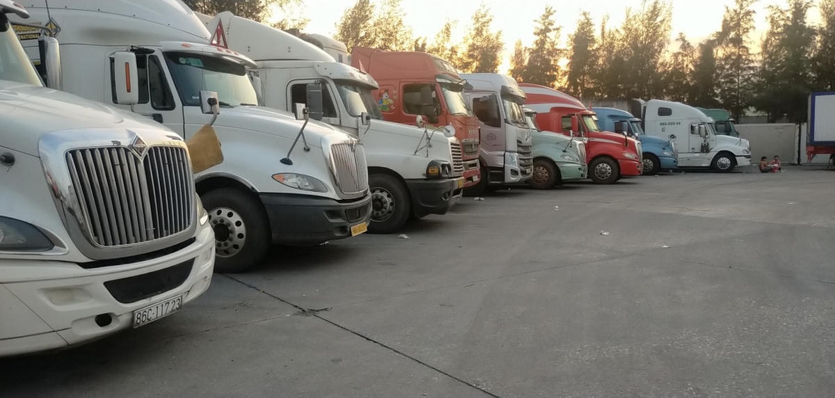 Lái xe tỉnh ngoài khi vào nơi xuất hàng không được phép rời vị trí để đảm bảo an toàn phòng dịch.