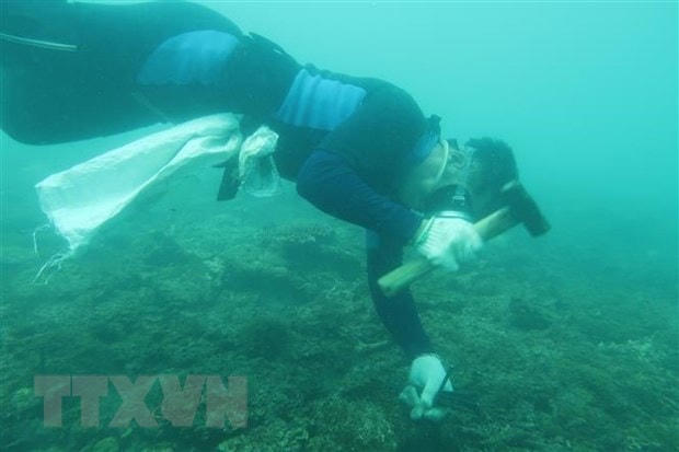 Các thành viên tham gia Dự án đóng cọc sắt làm điểm tựa cố định cho san hô trên nền đáy tự nhiên. Ảnh: TTXVN phát.  