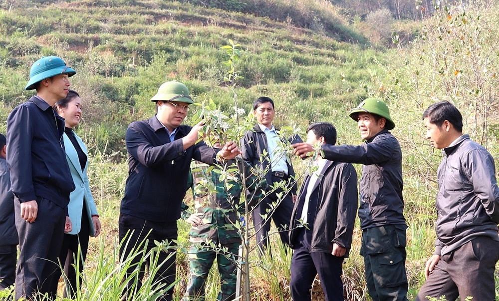 “Xuống bản đã tạo gắn kết chặt hơn giữa cán bộ, đảng viên với nhân dân, lại nắm bắt rõ tình hình, thấu hiểu và lắng nghe dân, từ đó điều chỉnh phù hợp  và chủ động hơn trong công tác lãnh đạo, chỉ đạo. Làm cho dân ưng cái bụng, xuống bản chính là cách cán bộ thổi ngọn lửa nhiệt huyết vào lòng dân”, ông Nông Việt Yên, Bí thư Huyện ủy Mù Cang Chải nói trong dịp về xã Lao Chải gần đây.  