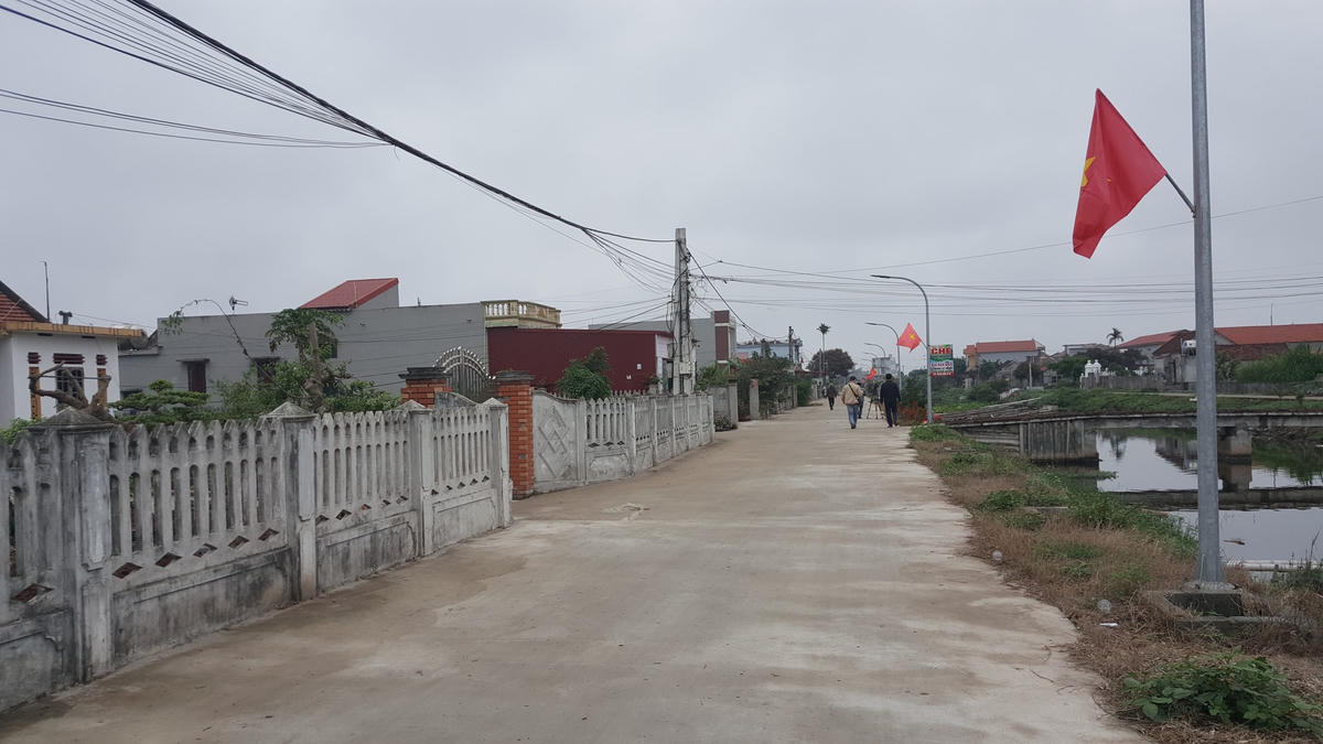 {ẢNH} Nông dân trồng cà chua ở Nam Định: ‘Giờ một trăm đồng/cân cũng chả được vì không có người mua’