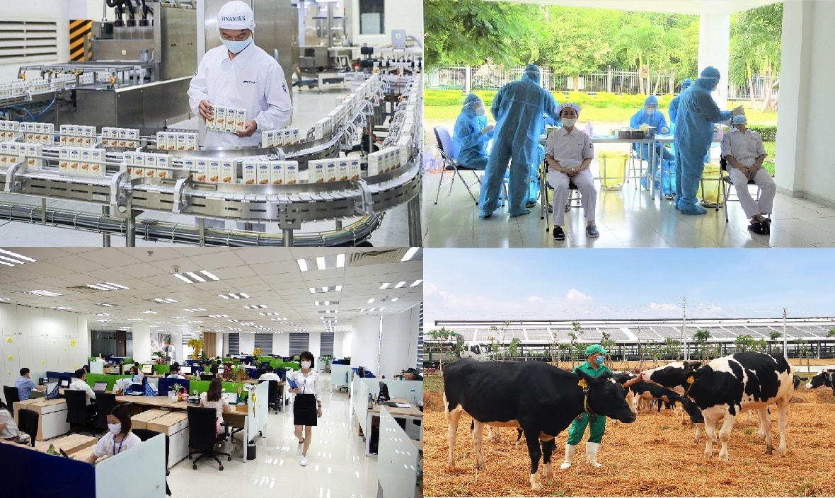 Vinamilk hiện có gần 10.000 người lao động đang làm việc tại 31 đơn vị thành viên trên cả nước.