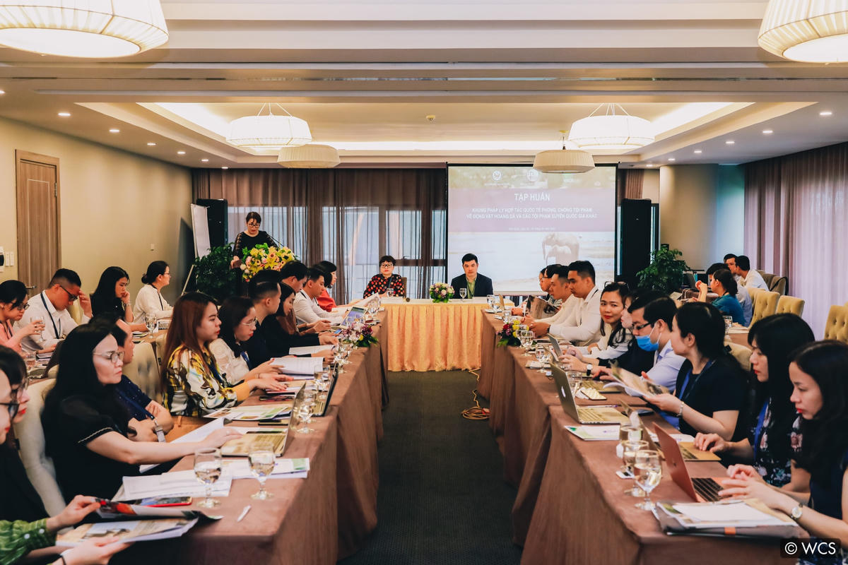 Tập huấn về “Khung pháp lý hợp tác quốc tế phòng, chống tội phạm về ĐVHD và các tội phạm xuyên quốc gia khác”.