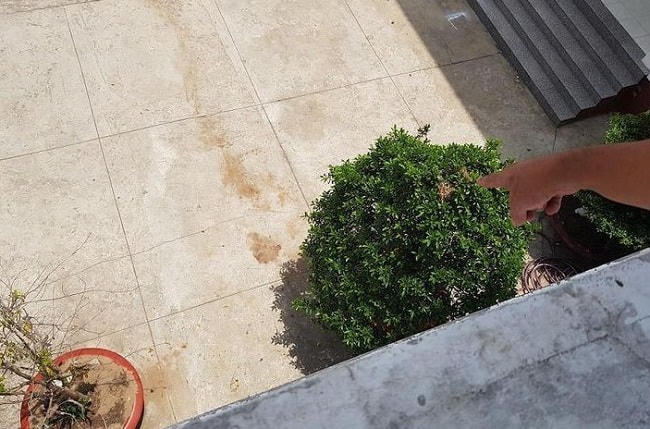 Nghi can vụ trộm cắp tài sản nhảy lầu tử vong. Ảnh minh họa