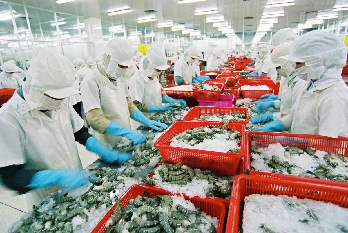 Tôm là mặt hàng xuất khẩu quan trọng của Việt Nam.
