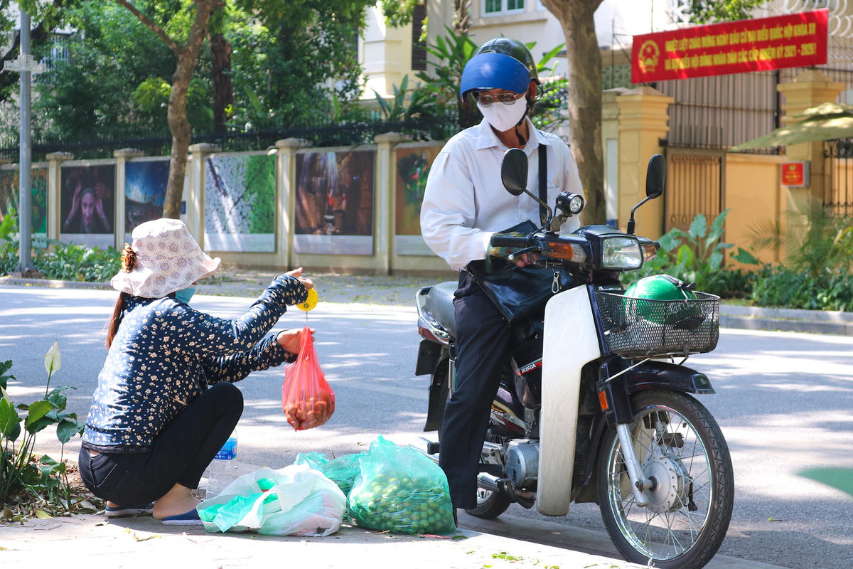 Khoảng từ giữa tháng 5, sấu đã được bày bán trên các con phố.