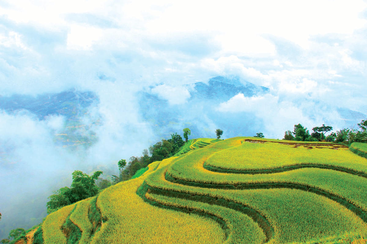 Những “sóng lúa” ở Bản Phùng.