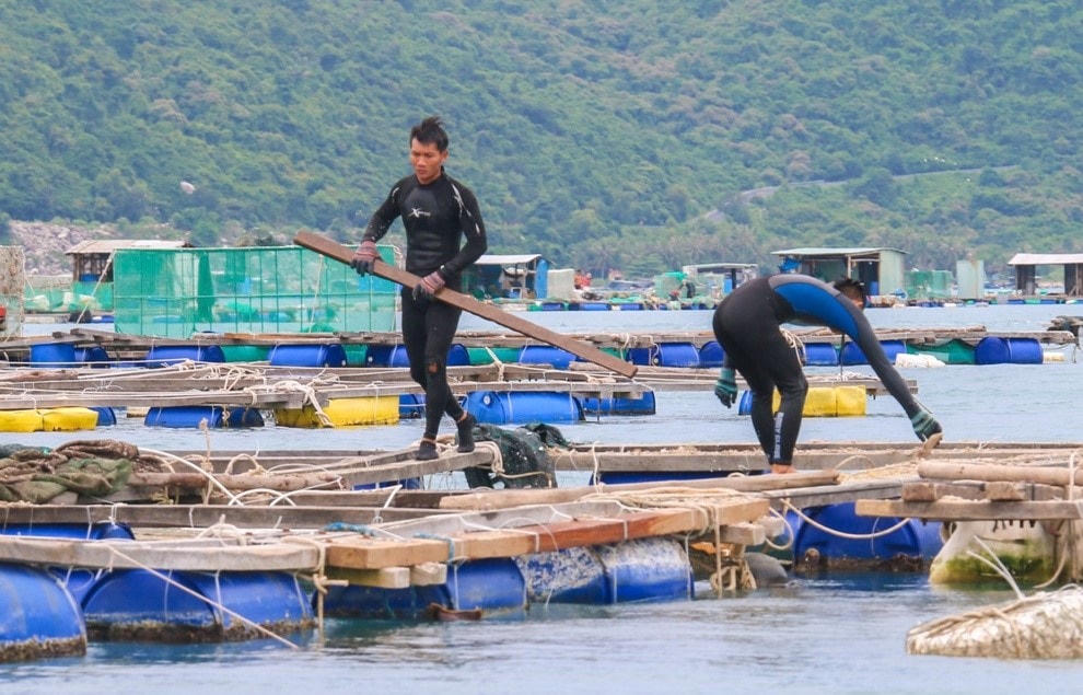 Người dân Phú Yên chằng buộc lồng bè đề phòng bão số 9.
