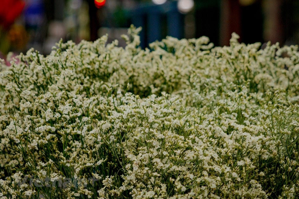 [ẢNH] Những gánh hàng rong chở cả mùa thu Hà Nội