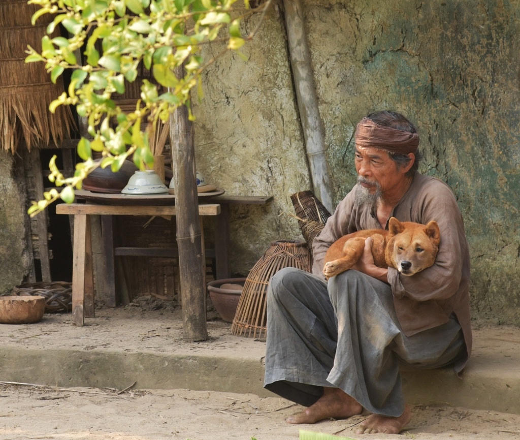 Phim "Cậu vàng".