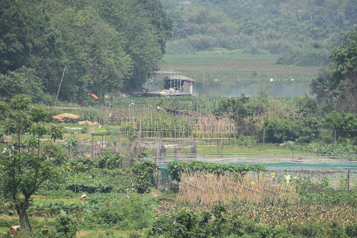 Thông tin này đã nhận được nhiều sự quan tâm của người dân trong thành phố. Hiện tại, theo ghi nhận của PV Đại Đoàn Kết Online, khu vực bãi giữa sông Hồng sau nhiều năm phát triển không theo quy hoạch đã tồn tại nhiều bất cập.