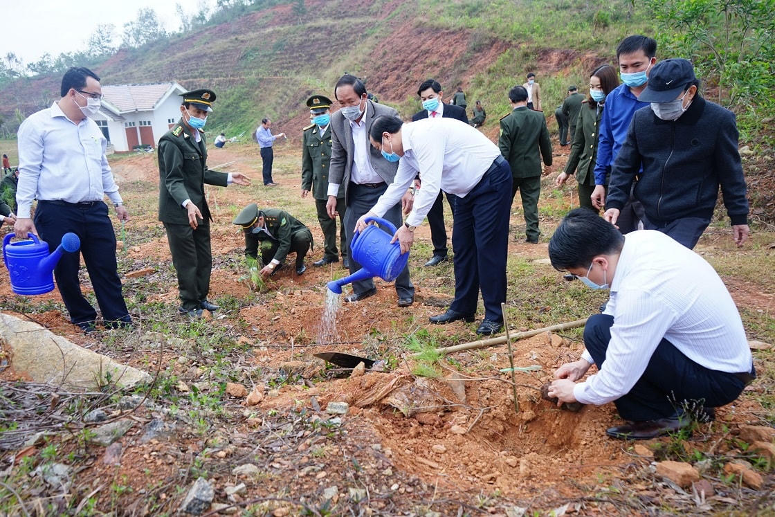 Các lãnh đạo tỉnh Quảng Nam trồng cây tại lễ phát động.