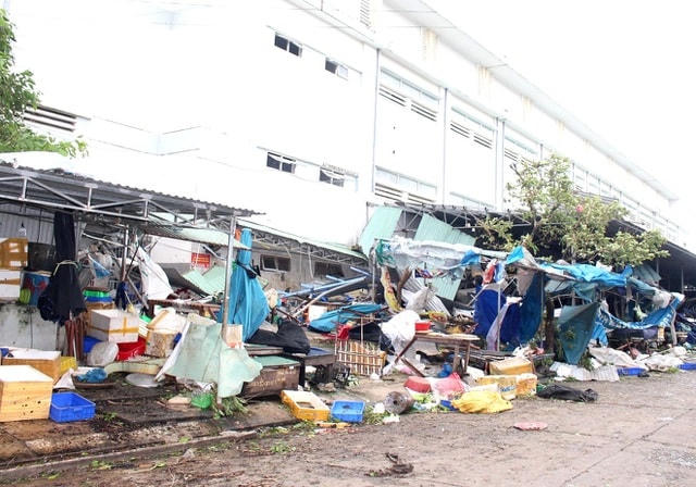 Thành phố Tam Kỳ tan hoang. Ảnh: Dân Trí.