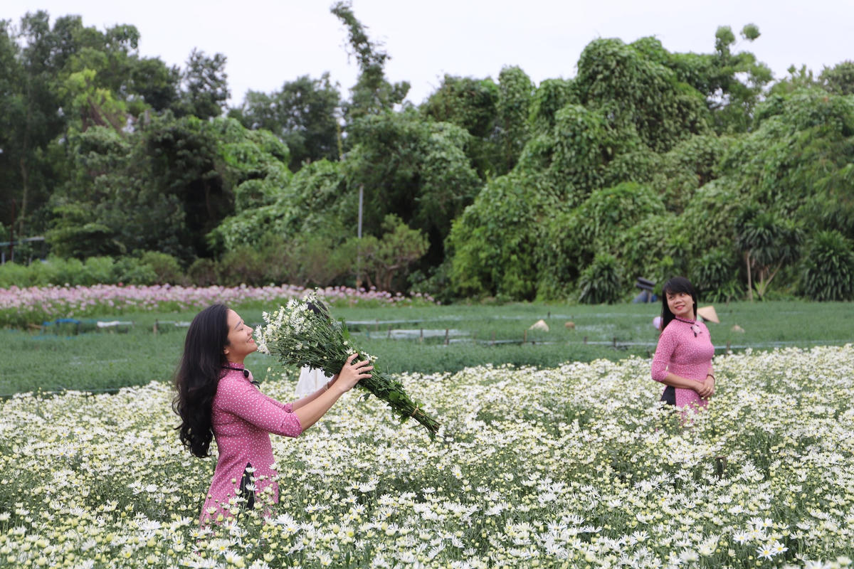 Từ người già đến lớp trẻ, ai ai cũng đắm say trước vẻ đẹp tinh khôi của loài hoa nhỏ bé này.