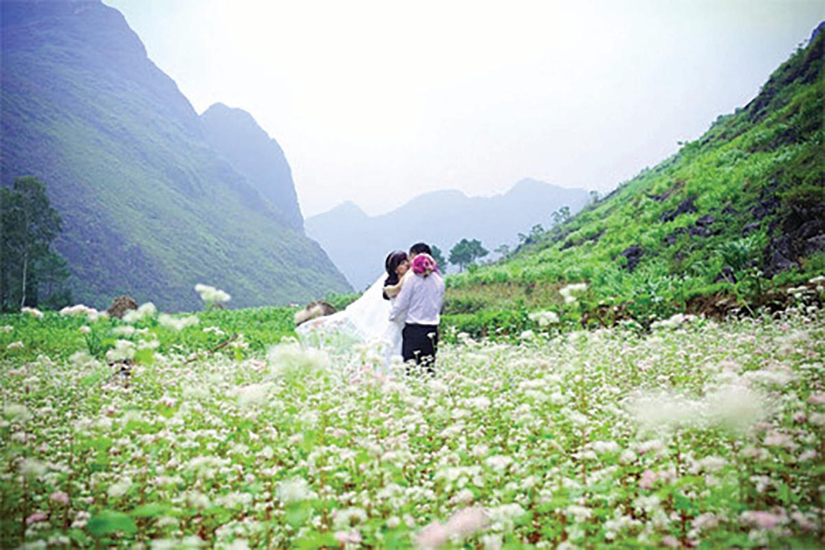 Đôi bạn trẻ chụp ảnh cưới bên nương hoa tam giác mạch.