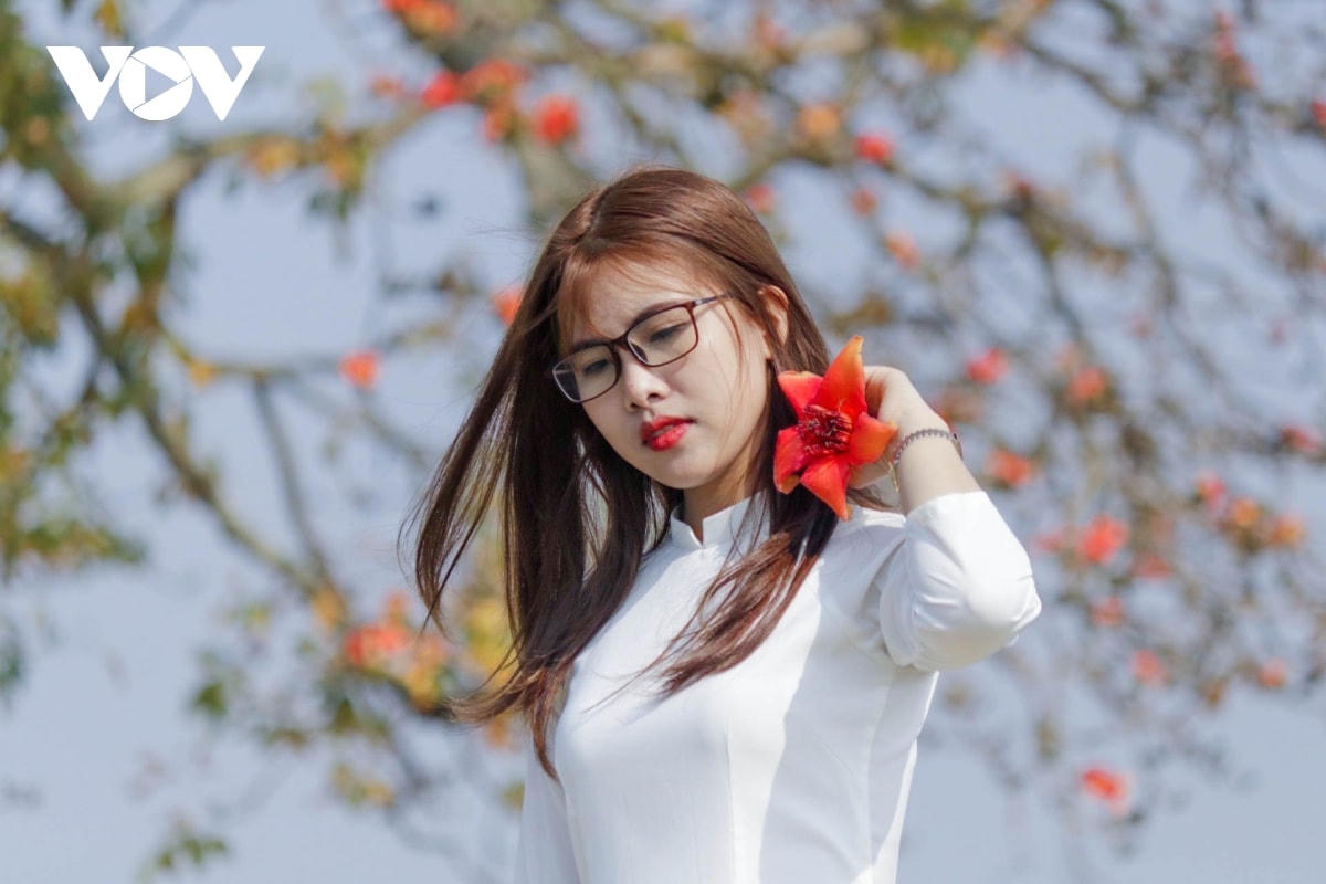 [ẢNH] Tháng ba, hoa gạo khoe sắc thắm bên bờ sông Thương