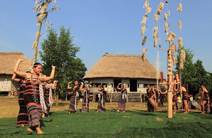 Làng và những sắc hoa