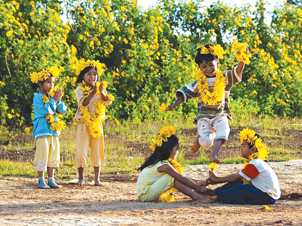 Những đứa trẻ trong mùa hoa dã quỳ.