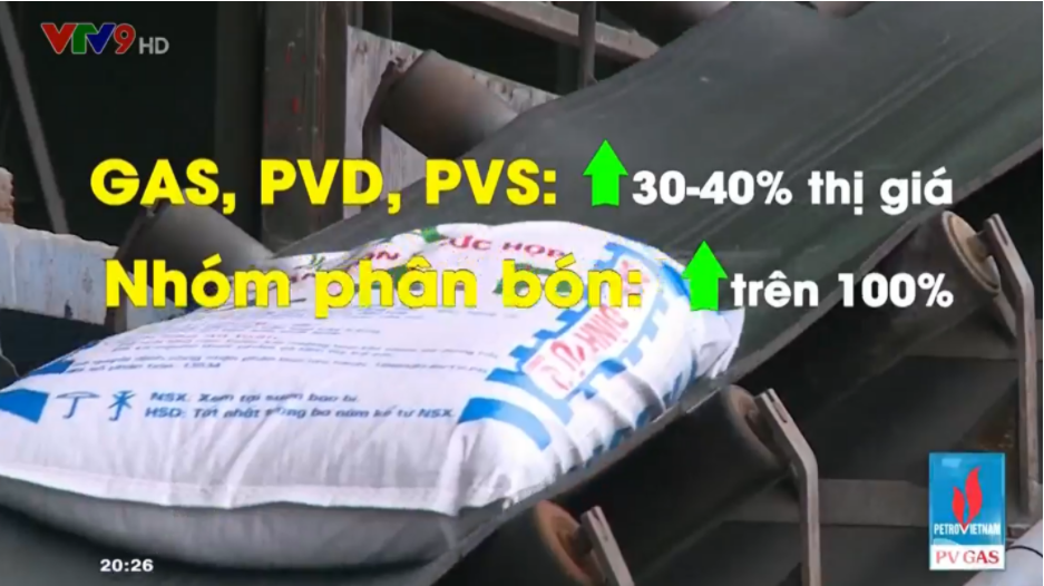 Chuyển động đa chiều: Con sóng ngầm của cổ phiếu vốn hóa nhỏ và vừa