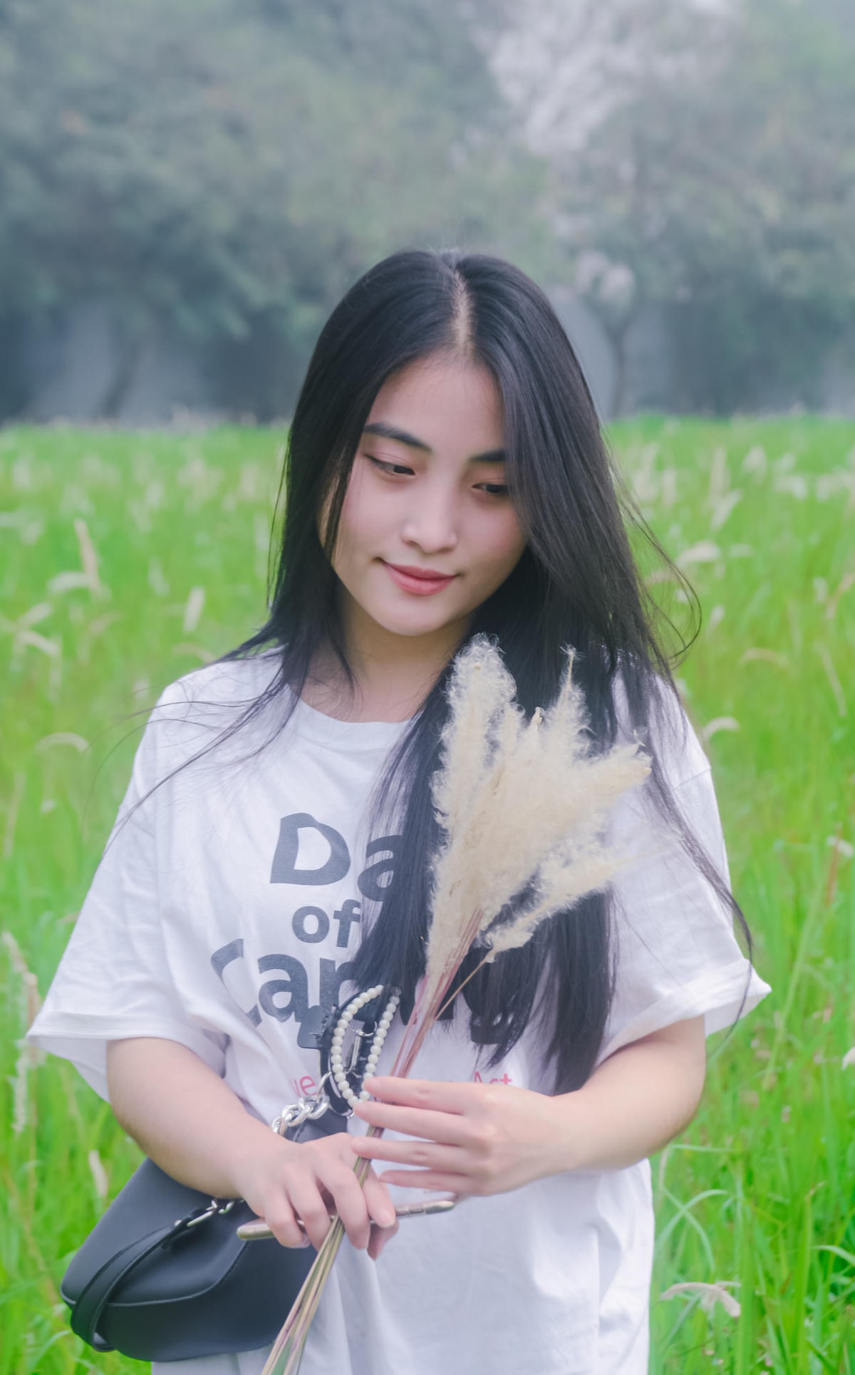 Đồng cỏ lau này thường nở rộ vào tháng 4 đến tháng 6. Những ngày gần đây hoa nở “cực đại”, vào chiều nhiều bạn trẻ lại đến đây chụp hình.