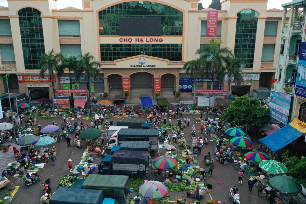Chợ đầu mối rau, củ, quả được tổ chức tại quảng trường Chợ Hạ Long 1. Đây là nơi cung cấp các mặt hàng nông sản cho toàn bộ các chợ, các nhà hàng trên địa bàn thành phố.