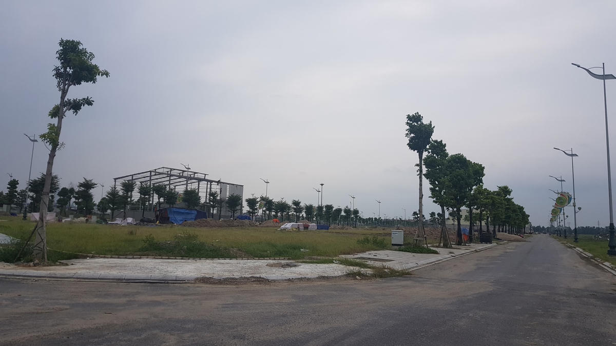 Cây xanh được trồng khá nhiều tại CCN làng nghề Mẫn Xá. Ảnh: Nam Anh.