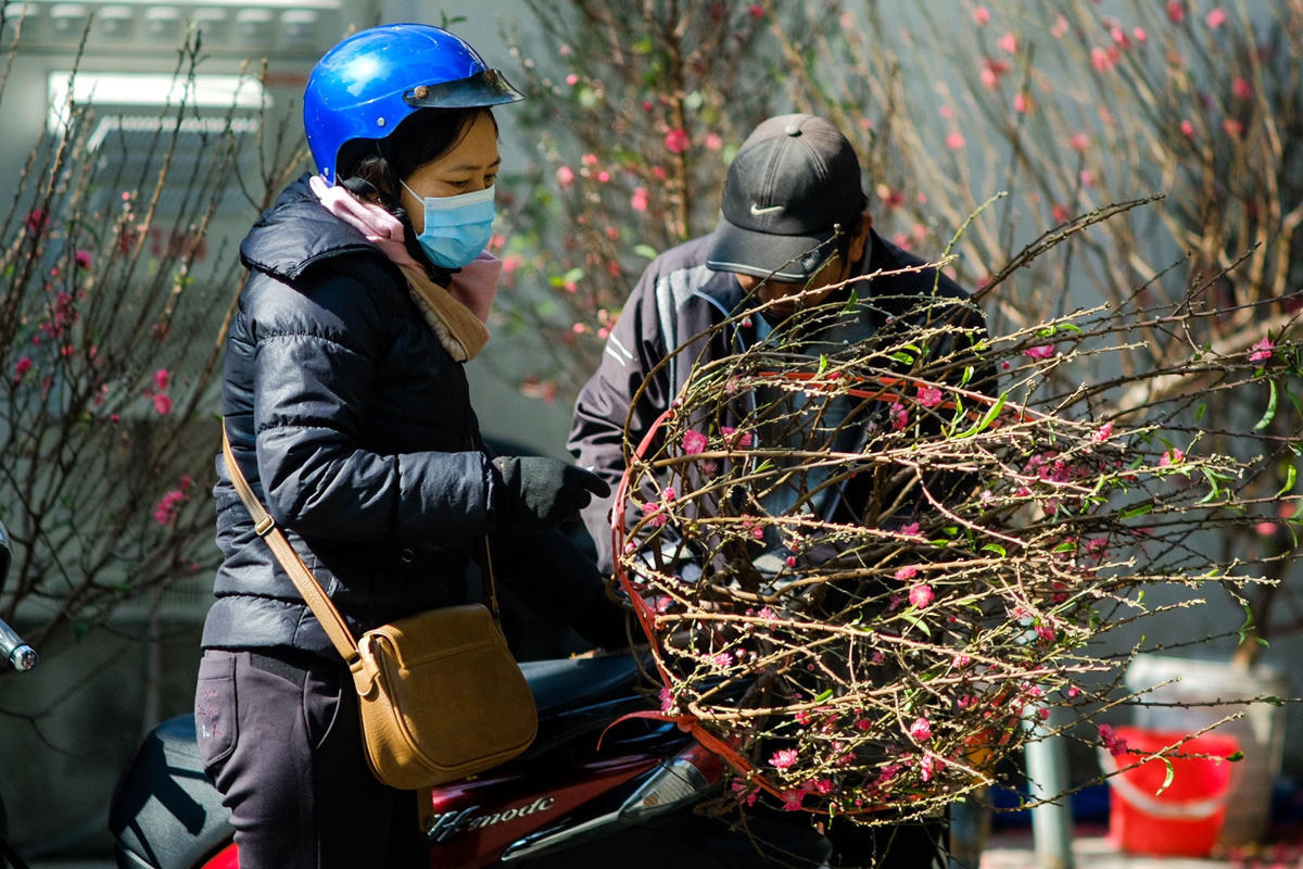 Trước không khí vắng vẻ của chợ hoa, chị Lê Thị Hoa (Trâu Quỳ, Hà Nội) không khỏi bất ngờ: “Mọi năm không có dịch thì chợ đông lắm, còn phải chen nhau để hỏi giá. Có khi họp chợ từ 8 giờ sáng đến tận chiều tối vẫn không ngớt người. Nhưng năm nay thì vắng lắm, không khí cũng ảm đạm hơn hẳn. Người mua ít, người bán ít nên các chủng loại hoa không đa dạng bằng năm ngoái. Chắc phải chờ thêm mấy hôm nữa may ra chợ mới đông hơn’’.