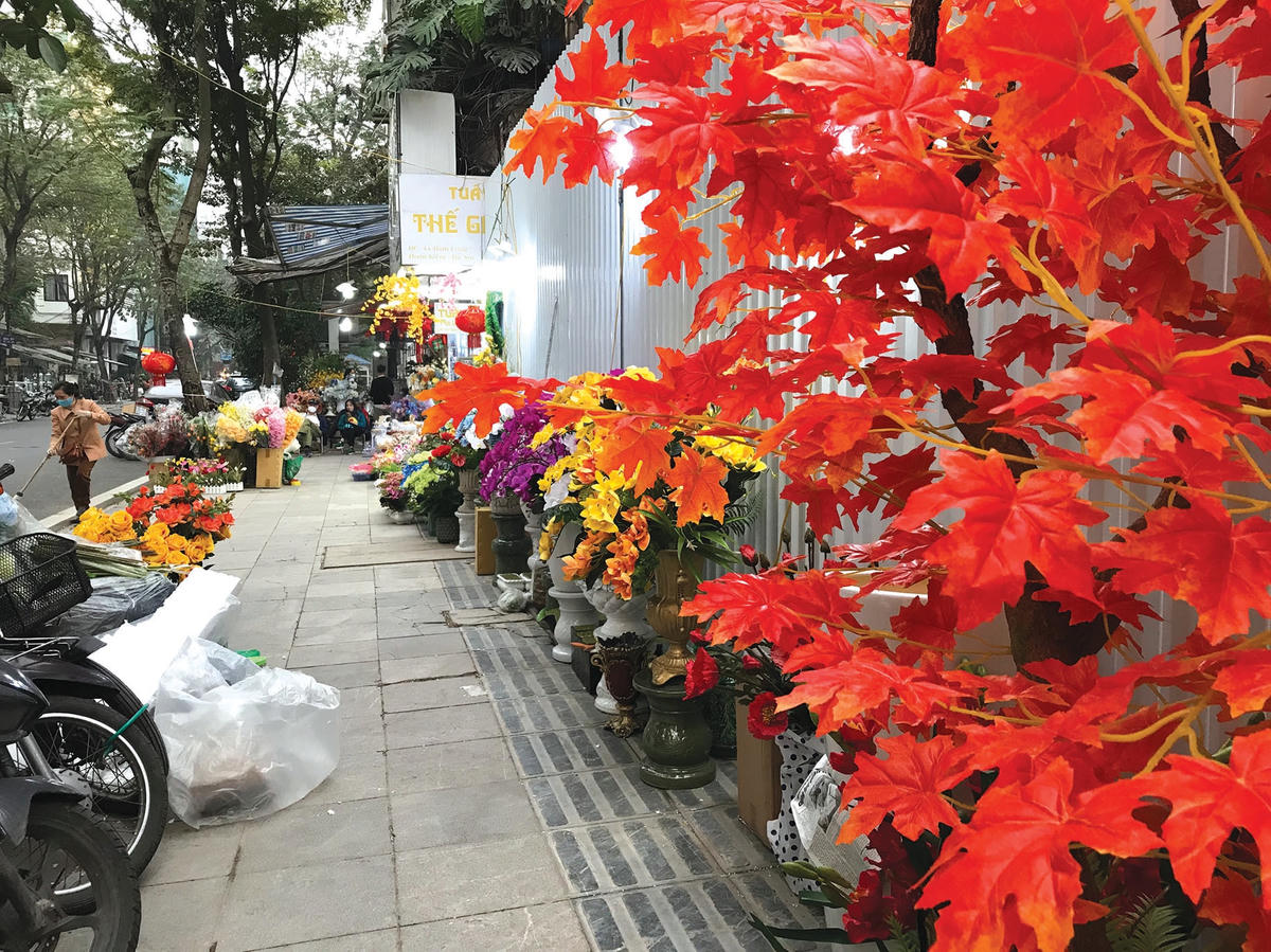 Những cửa hàng bán cây, hoa trang trí trên phố Hàm Long.  