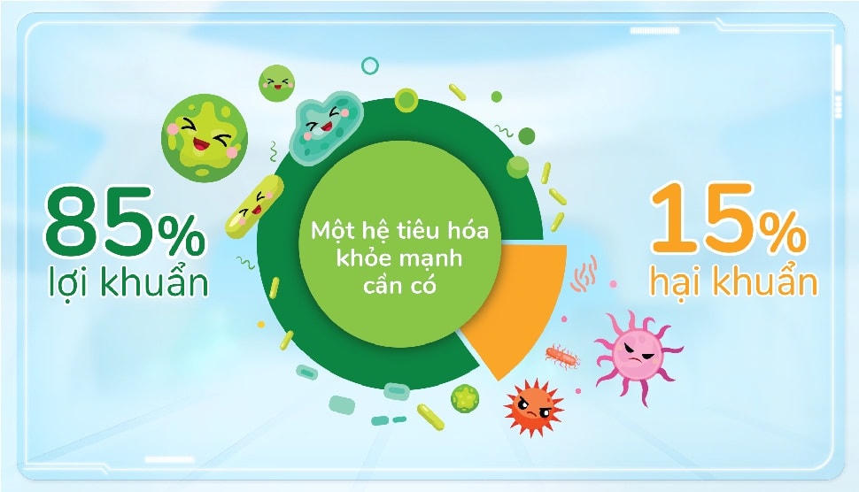 Đường ruột khỏe mạnh khi có 85% là lợi khuẩn và 15% là hại khuẩn.