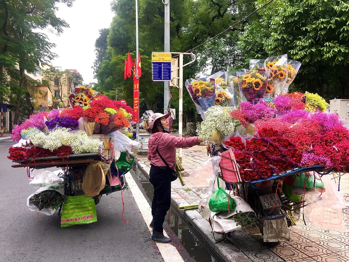 Ngày 20/11, hoa tươi đỏ rực trên vỉa hè dọc tuyến đường Thụy Khuê (Lạc Long Quân, Hà Nội).