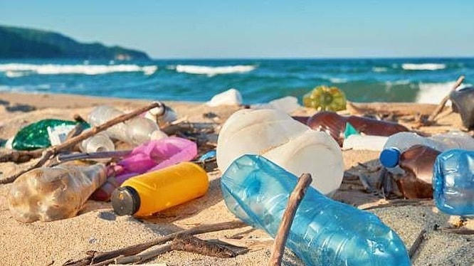 Rác thải nhựa đang trở thành nỗi ám ảnh của đại dương.