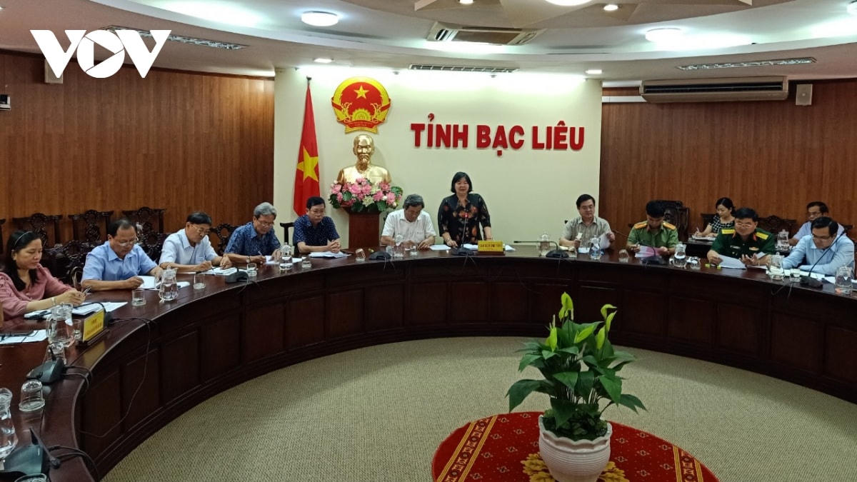 Bà Cao Xuân Thu Vân, Phó Chủ tịch UBND tỉnh Bạc Liêu phát biểu tại cuộc họp.  