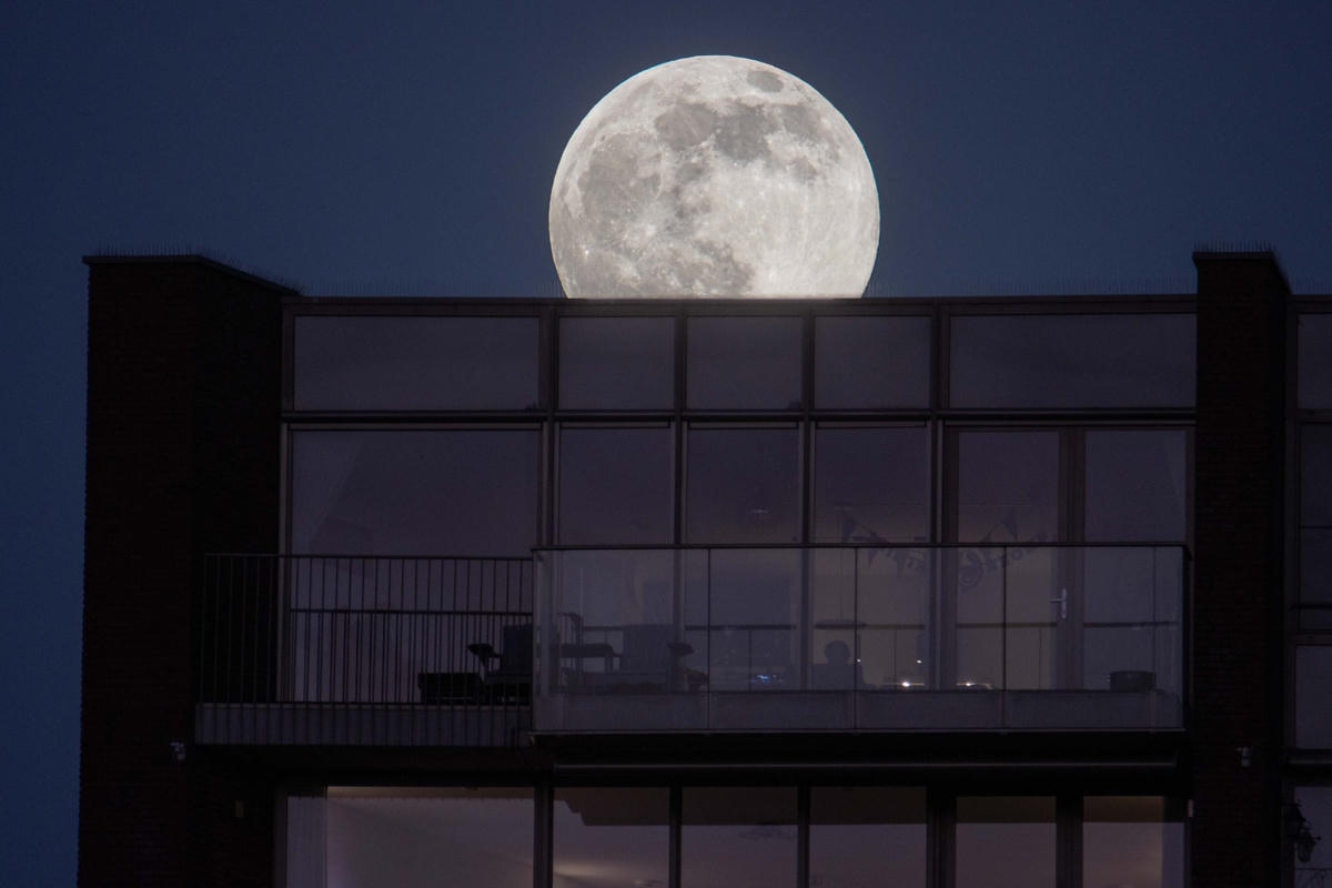 Hình ảnh Trăng sói lấp ló đằng sau một khu dân cư gần Eindhoven ở Hà Lan. Ảnh: Nicolas Economou / Nurphoto / Rex / Shutterstock.