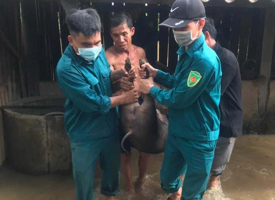 Lực lượng dân quân giúp đưa tài sản của người dân ra khỏi vùng ngập.