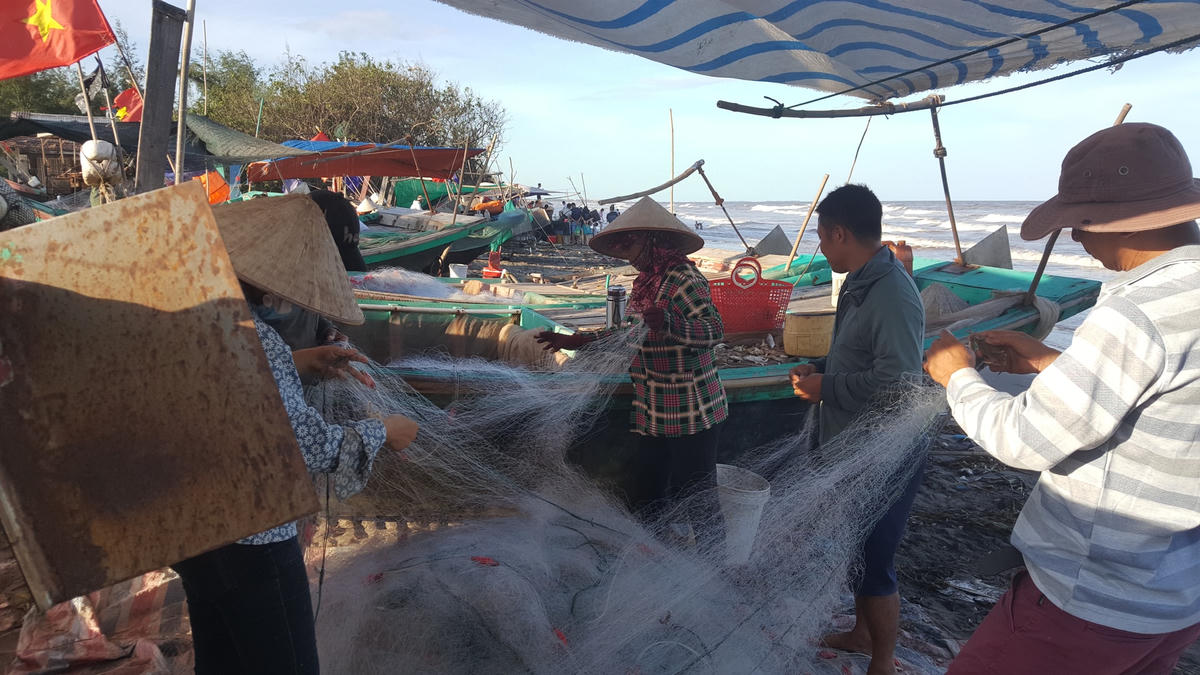 Công đoạn quan trọng nhất mỗi khi thuyền về là gỡ lưới. Với ngư dân, lưới nặng thì vui, lưới nhẹ thì buồn. Những ngày hè tháng 7 này, không hiểu sao lưới "nhẹ" quá, cá tôm không nhiều, ngư dân do vậy kém vui. Họ cho hay, một trong những nguyên nhân khiến vùng lộng không còn nhiều cá tôm là do hậu quả của hành vi đánh bắt bằng giã cào, xung điện (có tính hủy diệt) của một số ngư dân đến từ các địa phương khác, trong khi việc ngăn chặn, xử lý của các cơ quan chức năng chưa thật hiệu quả.