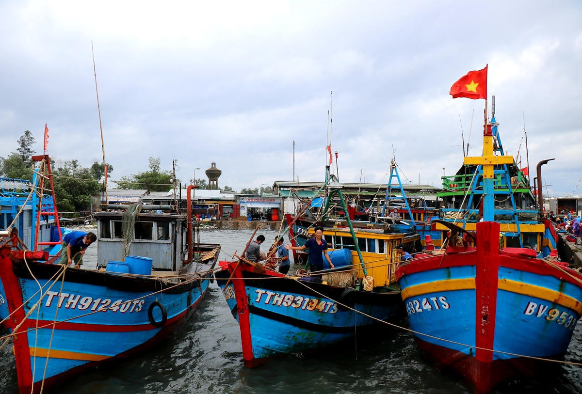 Các ngư dân đang ra sức gia cố cho các tàu thuyền để đảm bảo an toàn trước khi bão số 5 đổ bộ vào đất liền.