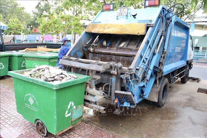 Xác cá được vận chuyển đưa đi tiêu hủy.