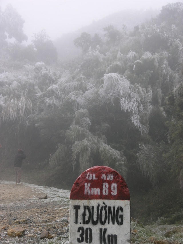 Sa Pa 'đông cứng' trong băng tuyết, đỉnh Khau Phạ cũng 'hóa đá'
