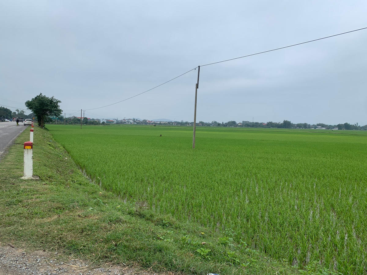 9 lô đất ở xã Lâm Trung Thủy, huyện Đức Thọ đã dừng bán đấu giá.